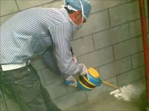 شركة مكافحة حشرات في الشارقة