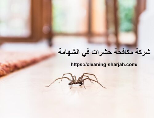 شركة مكافحة حشرات في الشهامة |0555131203| رش حشرات