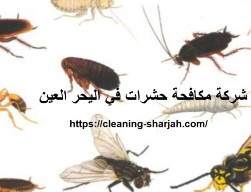 شركة مكافحة حشرات في اليحر العين |0559505474| رش حشرات